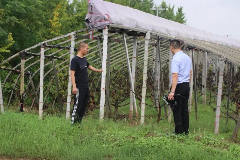 从退伍兵到群众贴心人,从退役军人到乡村致富领路人