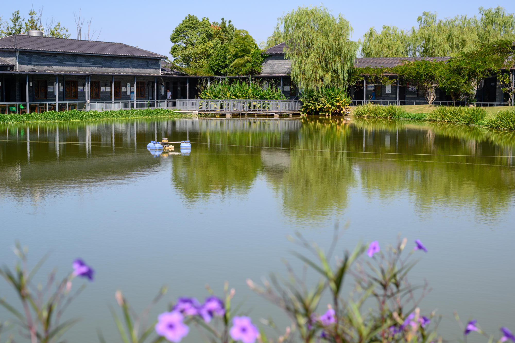衢州十大旅游景点,衢州龙游湖镇旅游景点