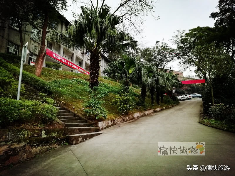 自贡桃花山学校,2014年自贡市桃花山学校