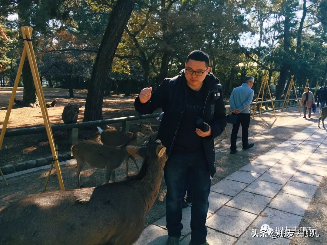 日本大阪京都自由行攻略大全,大阪京都奈良旅游攻略自由行