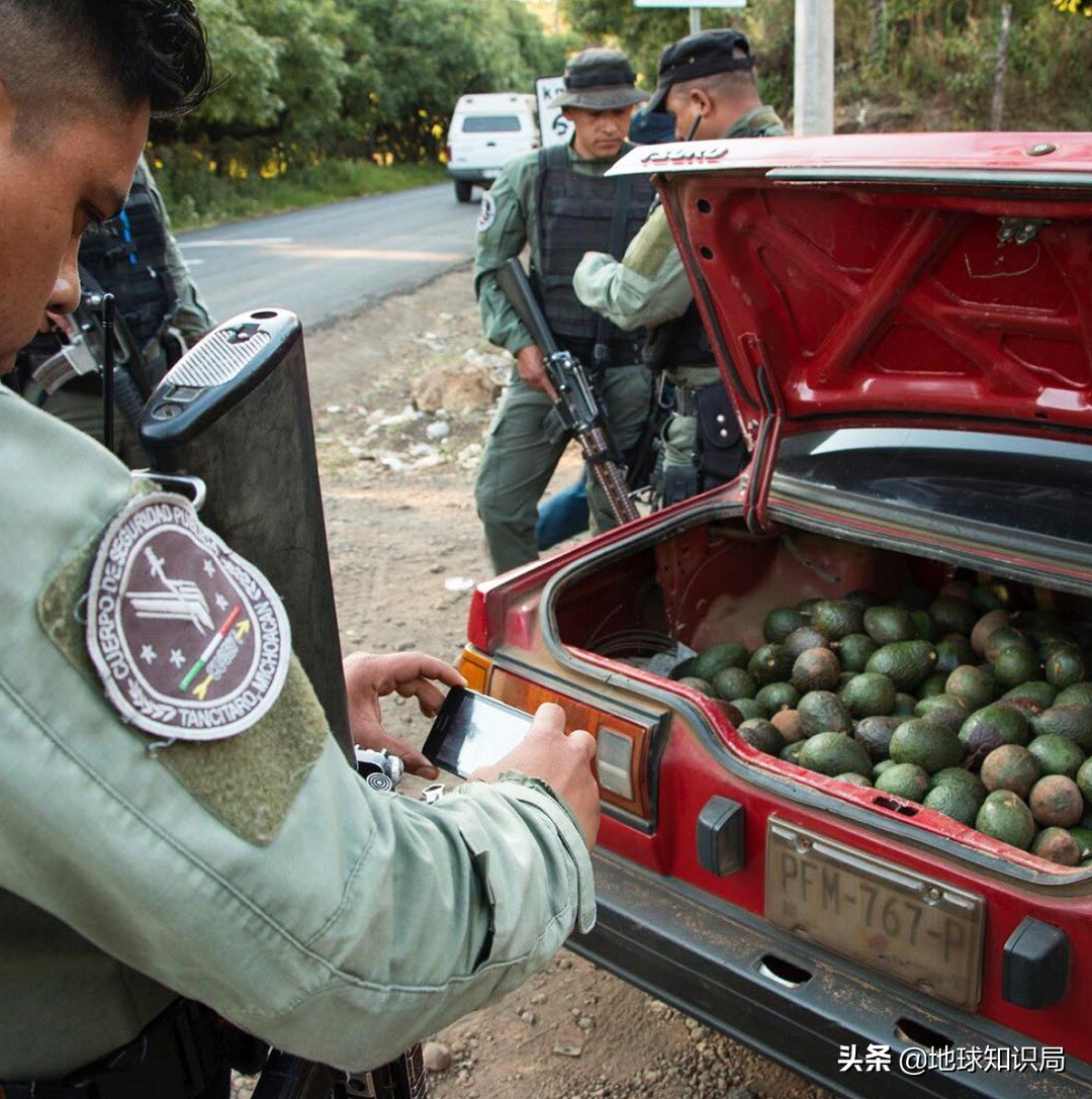 黑帮来了！救救农民！地球知识局