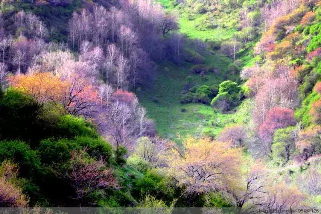 国家认证！*疆新**又一城市成为“中国天然氧吧”，大自然“空调房”就在……