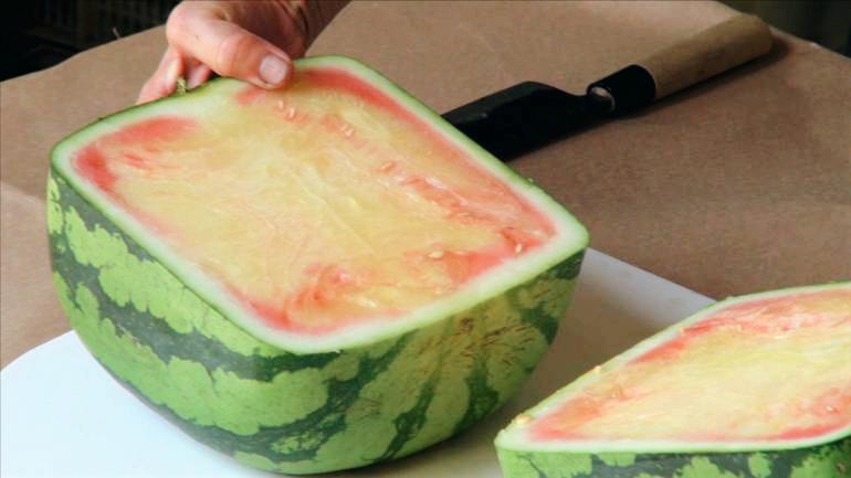 世界上最贵的水果前20种,世界最贵的水果是哪六种