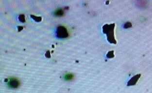 欣兰冻膜怎么去黑头,欣兰冻膜用完怎么去黑头