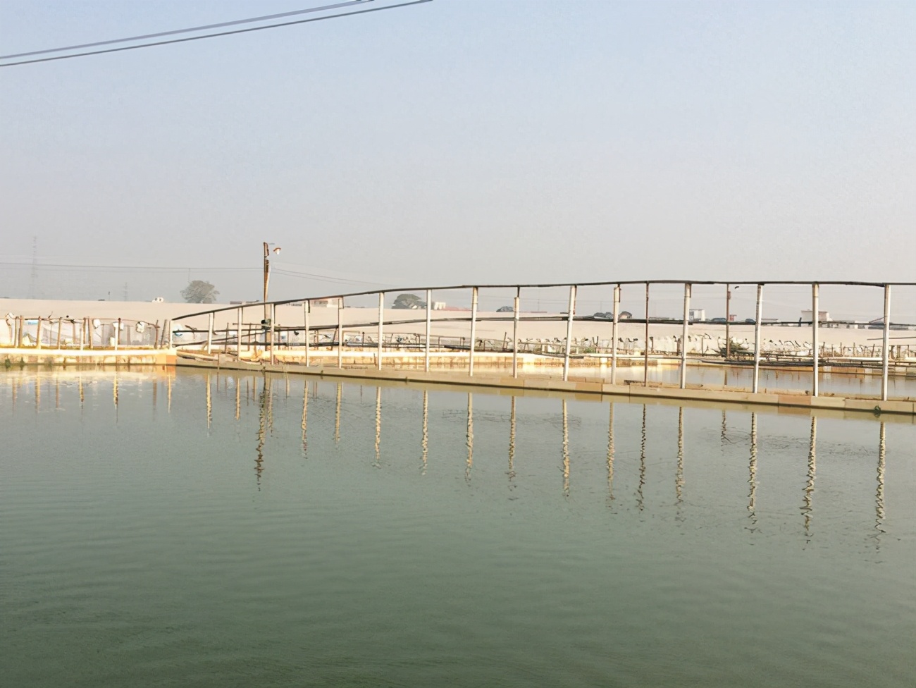 甲鱼养殖水质管理方法与技巧,水质不好可以养甲鱼吗