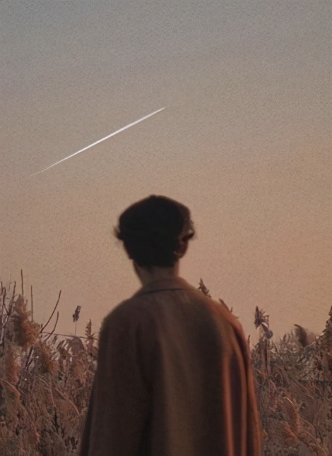 或许只有你懂得我所以我才没逃脱,只有你懂得我所以我没逃脱什么歌