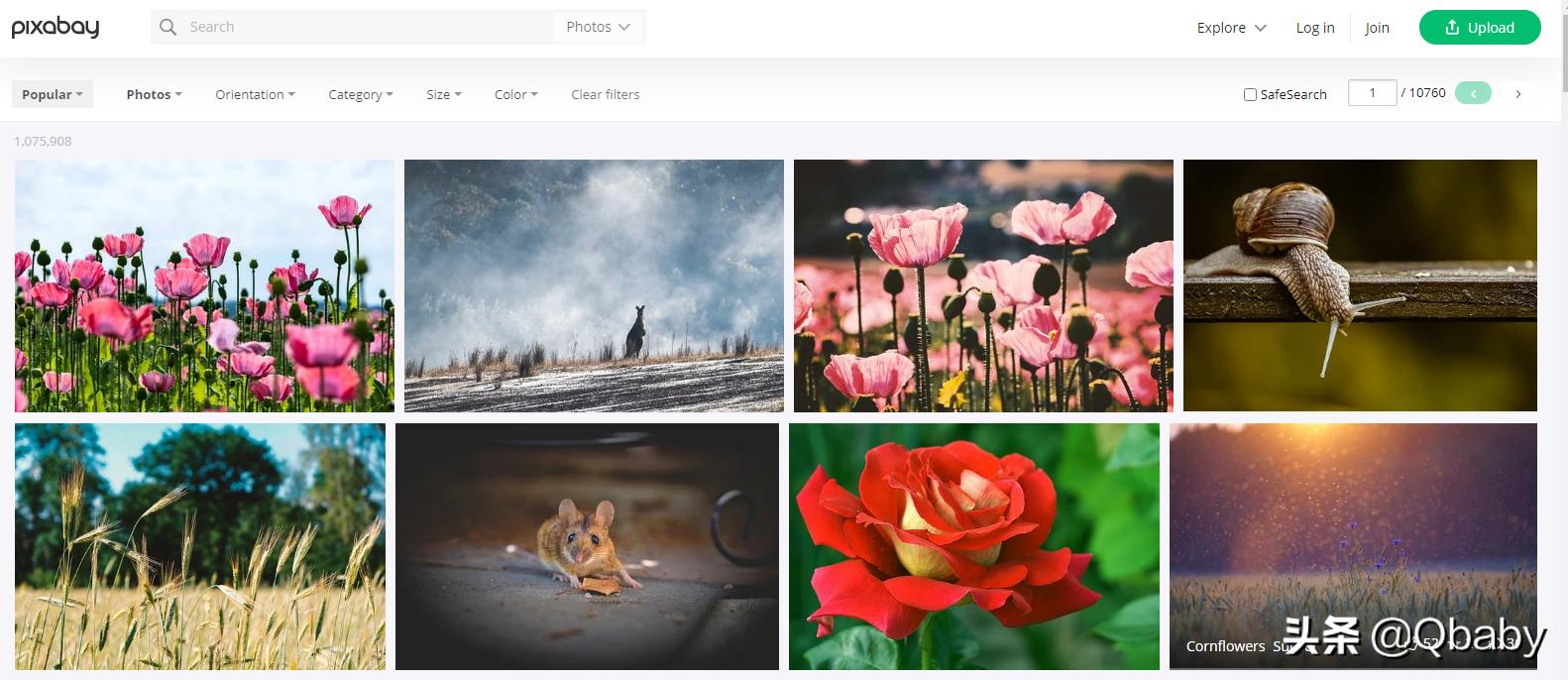 亲测有效的图片大全,亲测可用图片大全