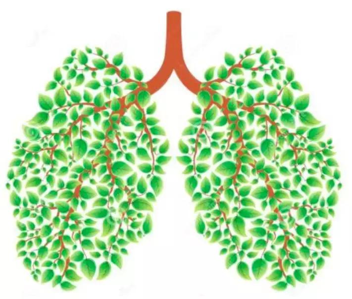 来测测你的肺健康,测一下你的肺是否健康