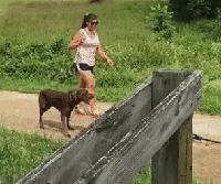 30种网赚骗术套路揭秘超深度干货,常见的20种网赚骗术揭秘