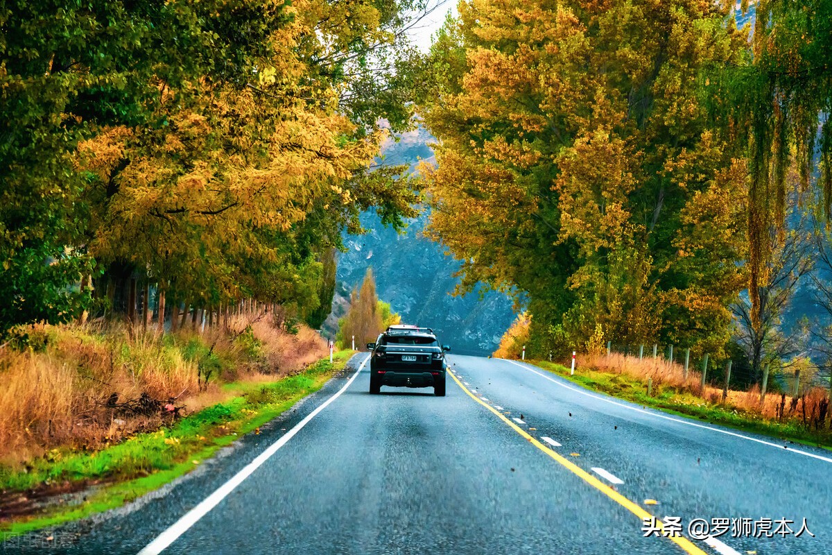 那些旅行博主是怎么做起来的,旅行博主都是怎么赚钱的
