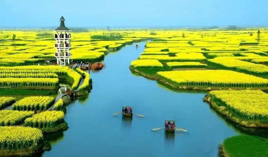 赏油菜花攻略,寻找最美油菜花可去这十大景点