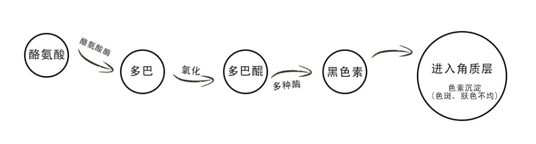 皮肤白不白无所谓,别再暗沉了可以吗?