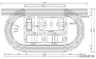 听听,怎么洗白体育老师!最后一句亮了