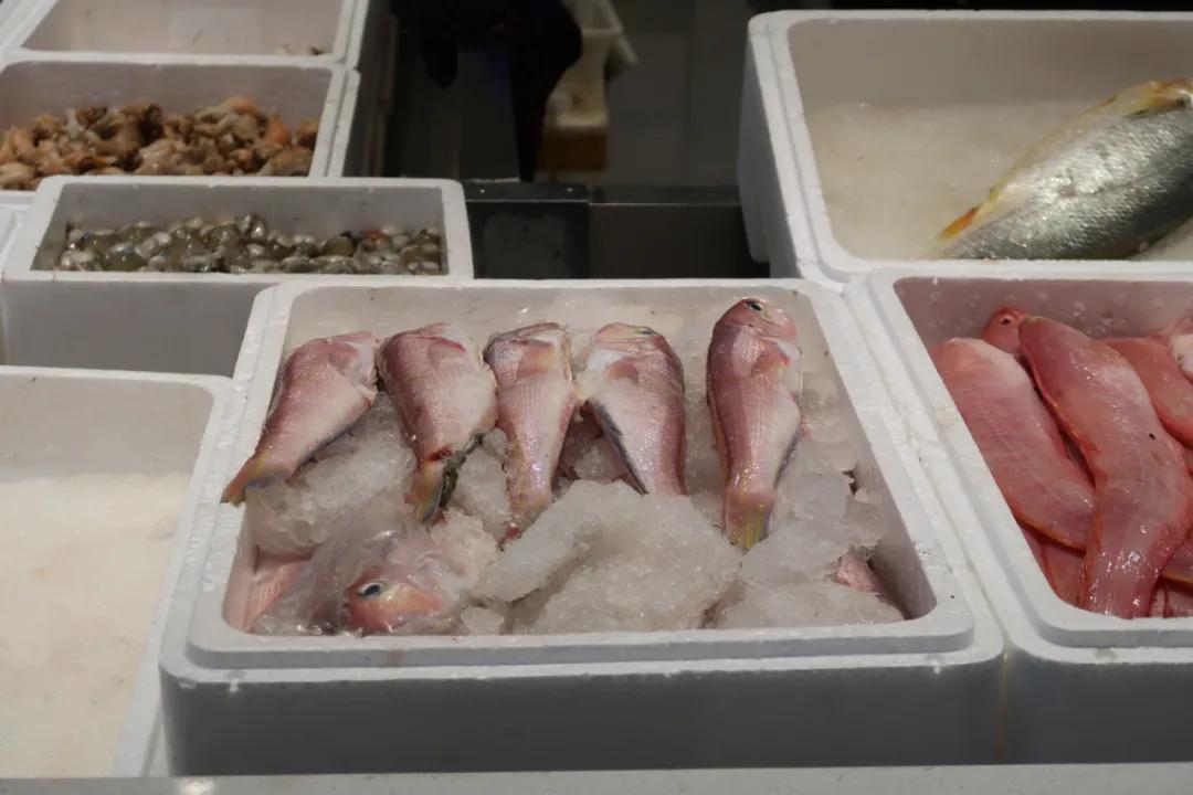 在这个足足2万平的奇妙海鲜“商场”，我找到了赚钱的动力