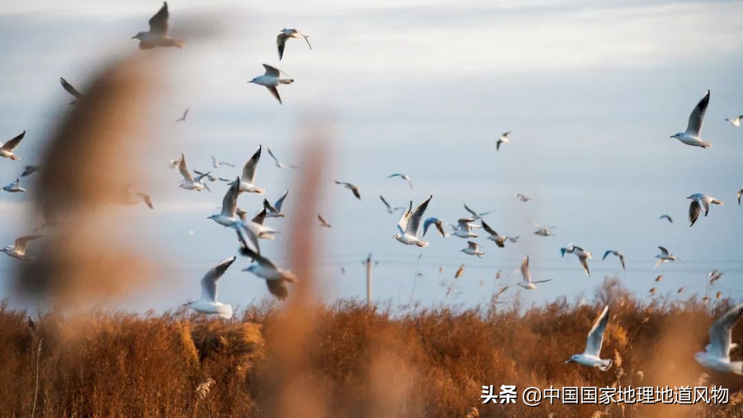 东北的门户图片,东北门户是什么地方