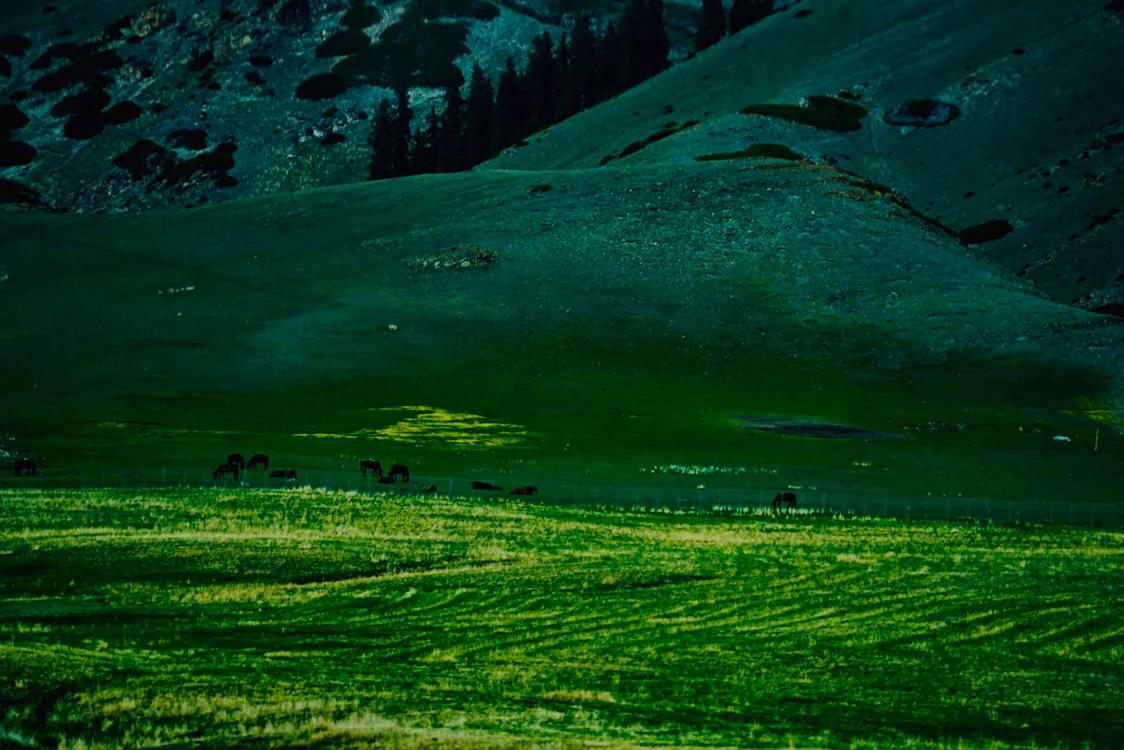 占中国六分之一地盘的*疆新**,12个5A景区N个世界遗产你走过多少?