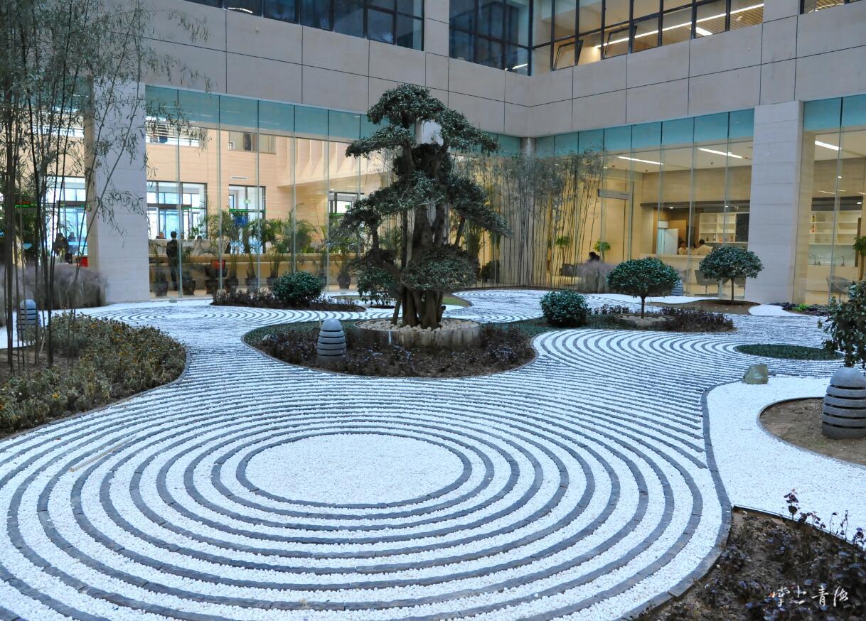 西宁市民服务中心工作时间,西宁市民中心有什么项目