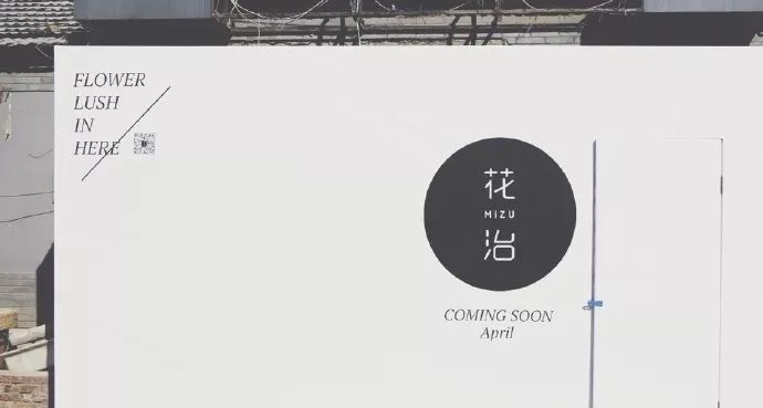 北京最美花店,她放弃了总监职位后续