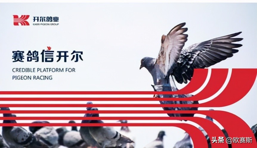 超级品牌日攻略,超级品牌日圆满结束