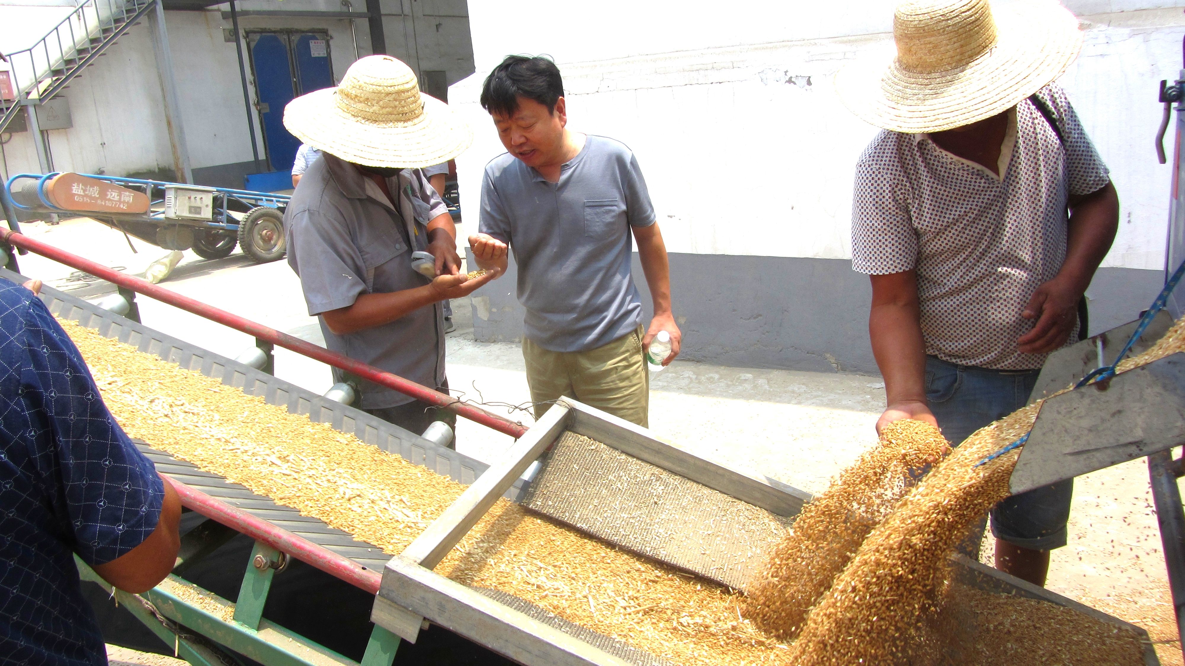 新粮食安全观和国家粮食安全战略,官方回应加强粮食安全最新消息