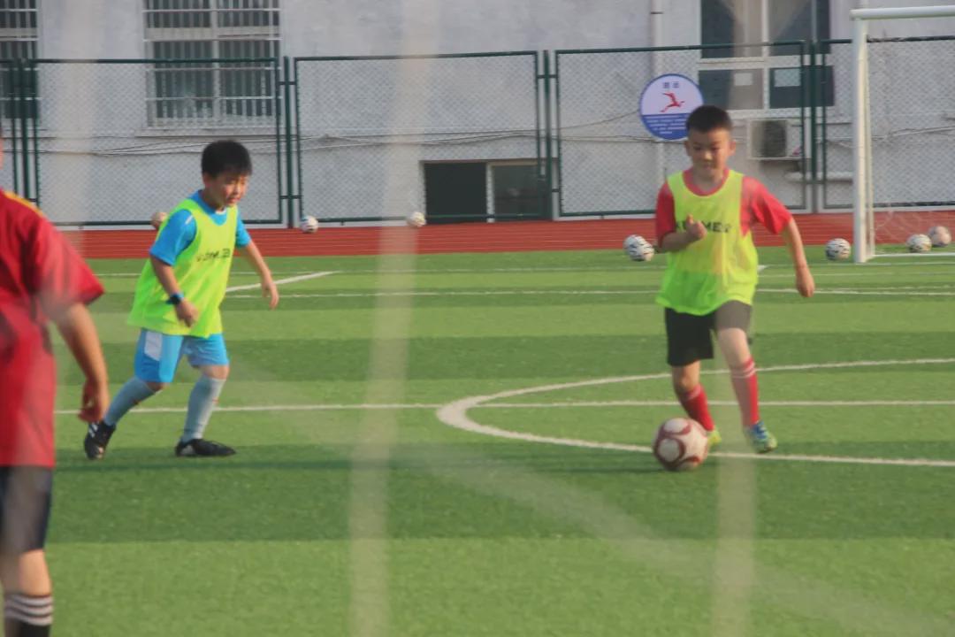 信阳维德青训基地,维德青少年培训