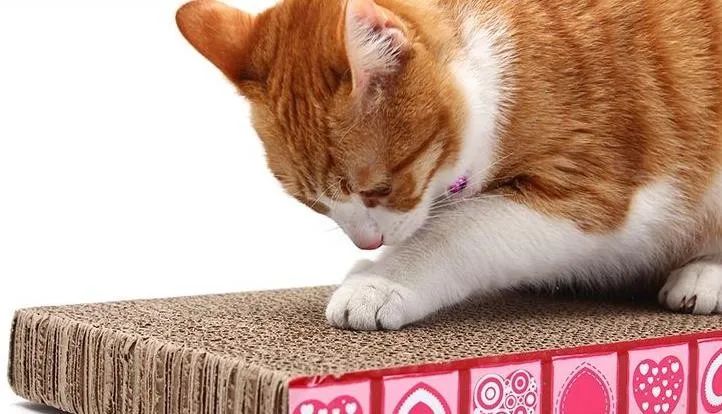 新媒体人必备软件,新媒体人必备的道具