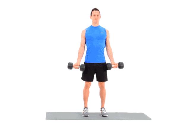 手臂臂围训练方法,增加臂围最有效的动作