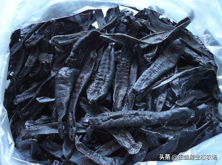 水蛭养殖市场前景分析报告,水蛭养殖市场前景怎么样