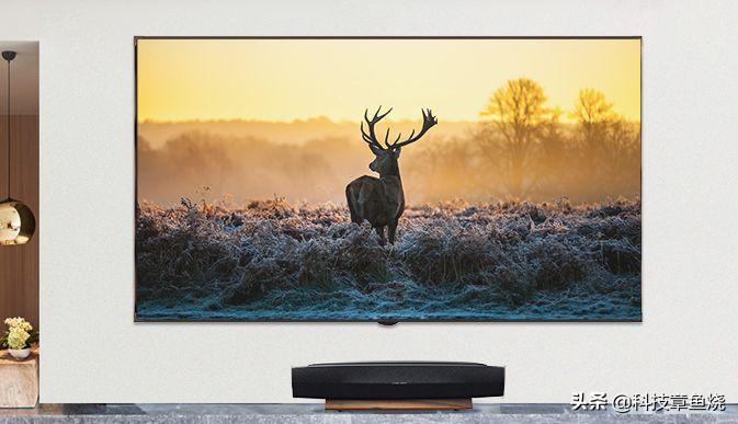 光有一台好投影就够了？不，幕布选择也有门道