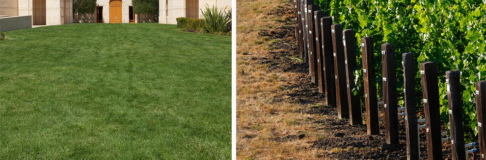 法国红酒了解,法国红酒的特别之处