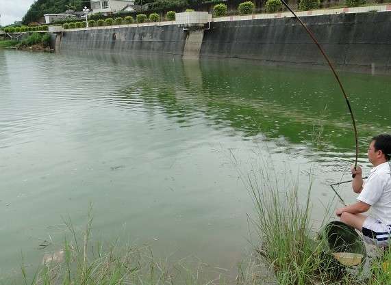 广东钓土鲮鱼用多大的子线和钩子,南宁用什么饵料钓土鲮