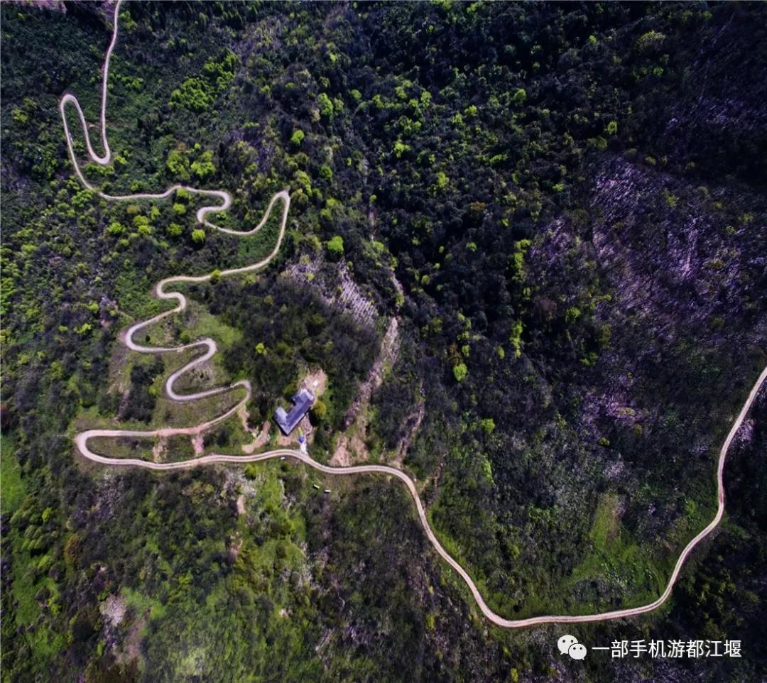 青城山熊猫谷都江堰一日游攻略,熊猫谷青城山都江堰一日游攻略