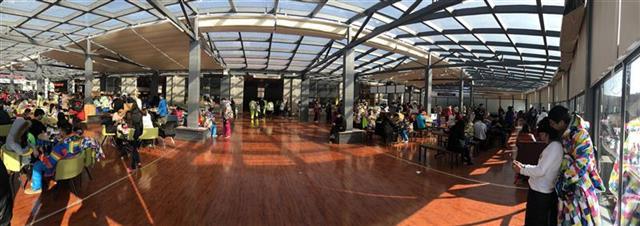 神农架滑雪推荐什么时候去最好,神农架和七星岭滑雪场哪个好玩