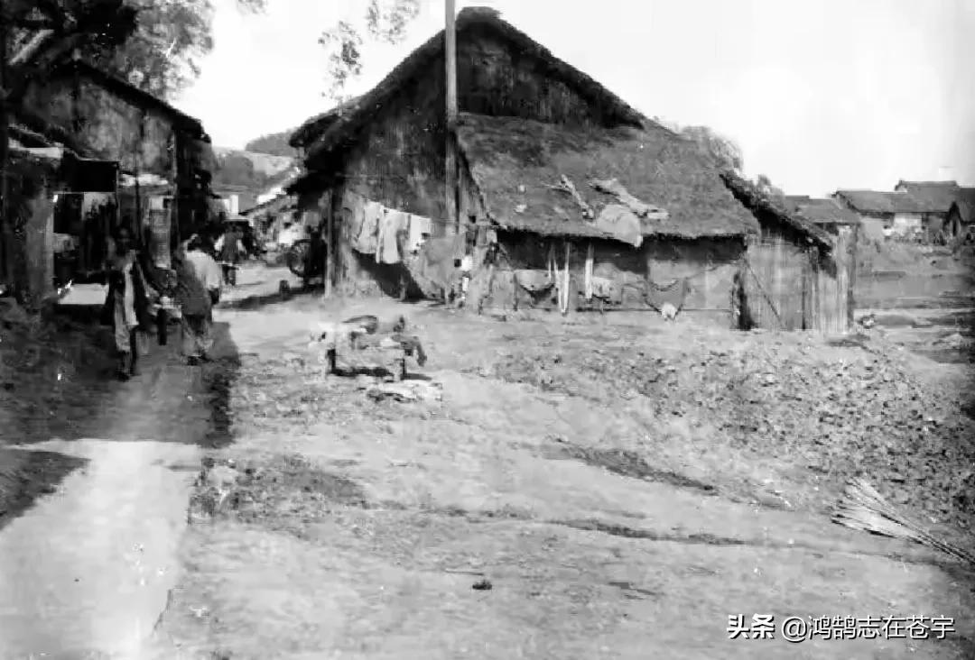 清末照片：抱娃的年轻女子，一身赘肉的八旗后裔，三代人的全家福