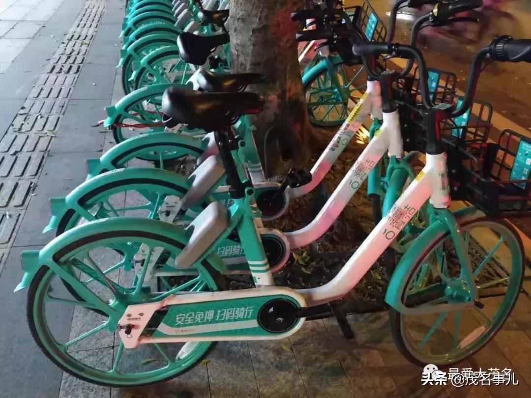 茂名什么时候才能超越广州,茂名与广州对比