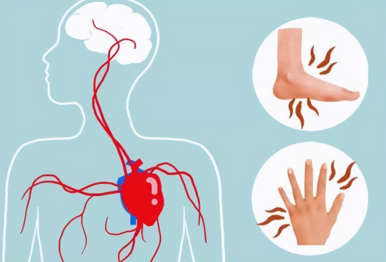 比眼镜蛇毒强的剧毒,比眼镜蛇毒强12倍的虫子