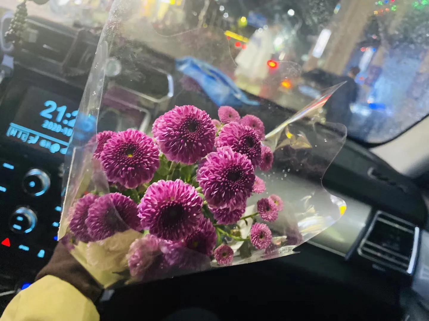 百万宝宝完整版视频,百万宝宝最新视频