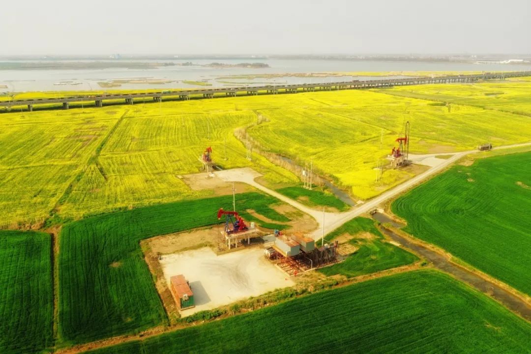 江苏油田的基本概况,华东油田和江苏油田