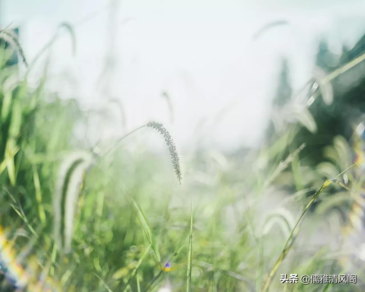 微小说最心酸的秘密,微小说秘密情人