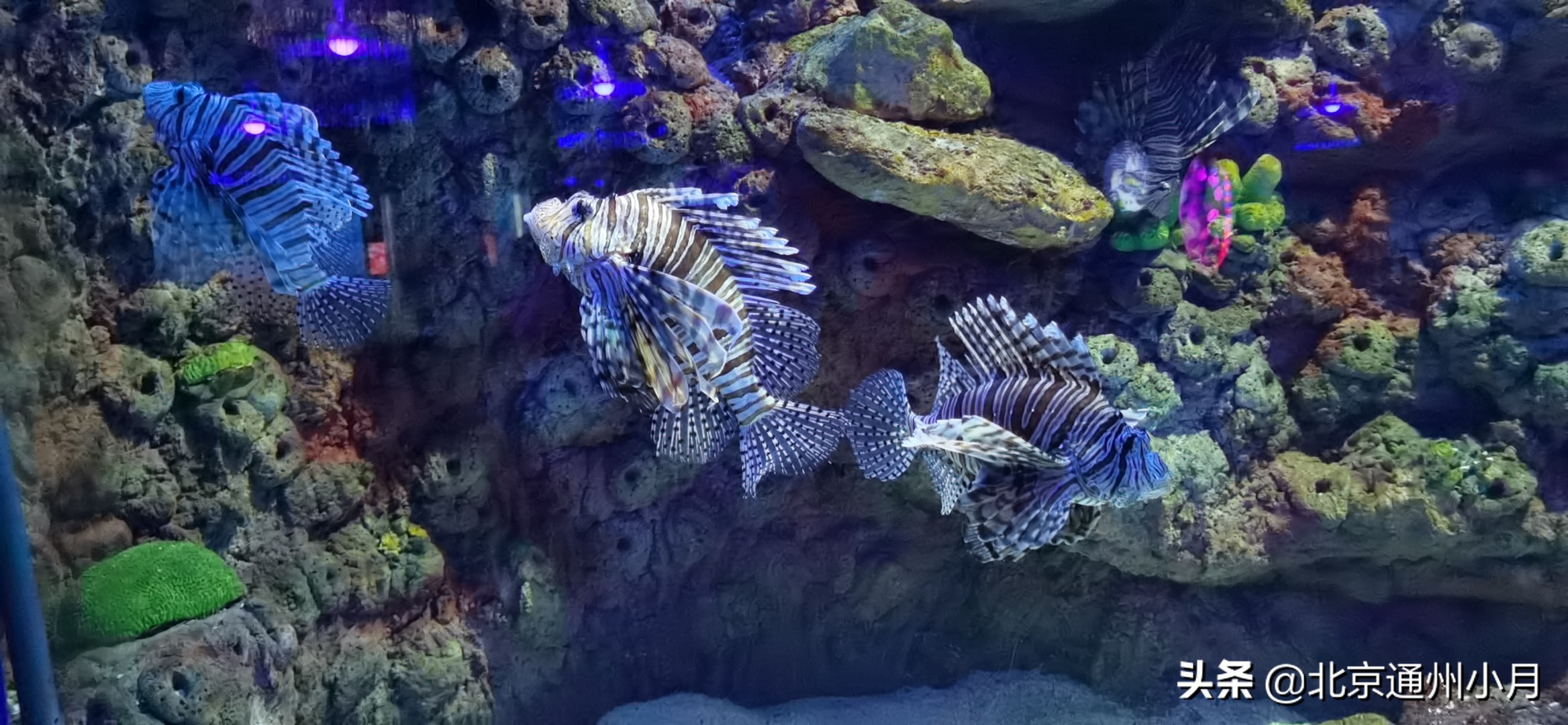 北京海底世界游览时间表,北京海底世界值得玩