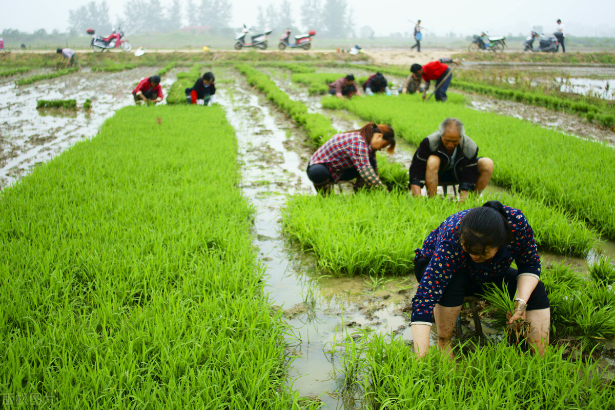 重点推进的150项重大水利项目,广西农业农村重大项目