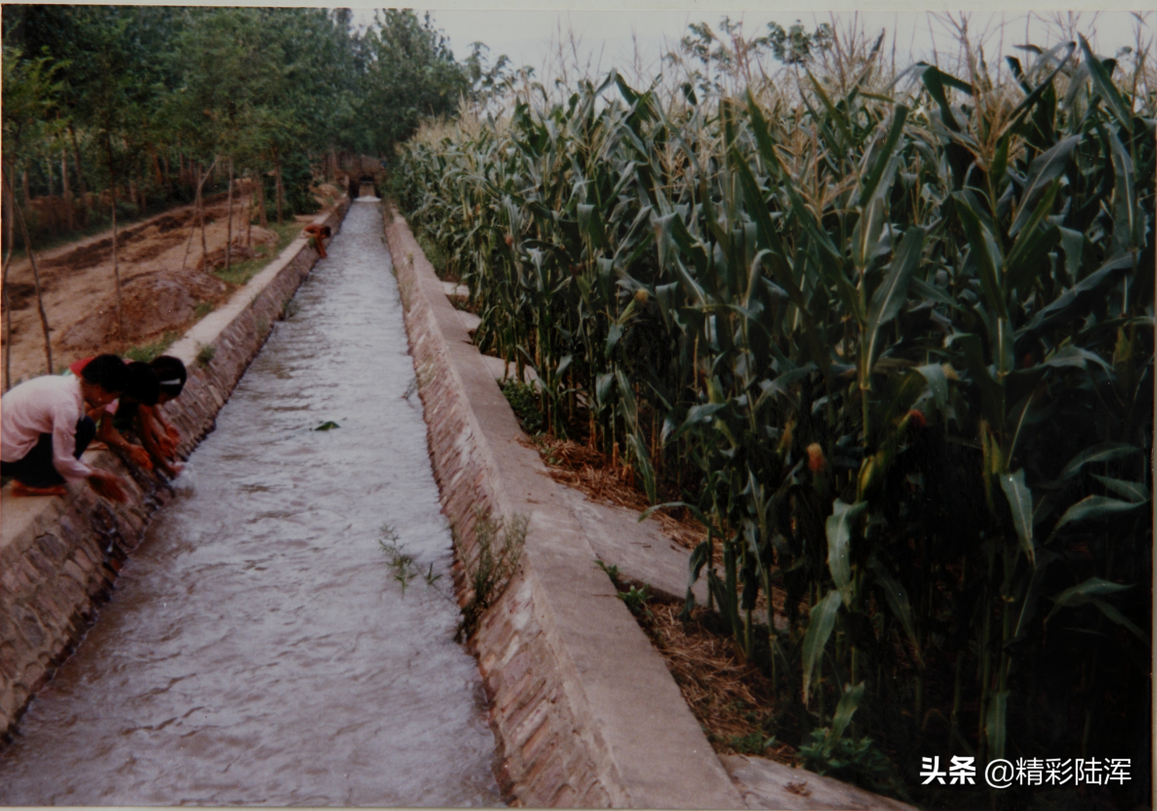 豫西有个布雨的“龙”