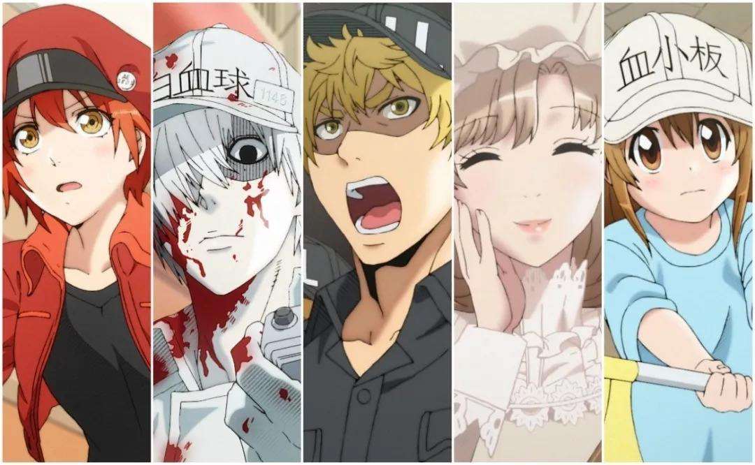 日本秋叶原评年度最佳动画：《OVERLORD》28名某热血神作垫底