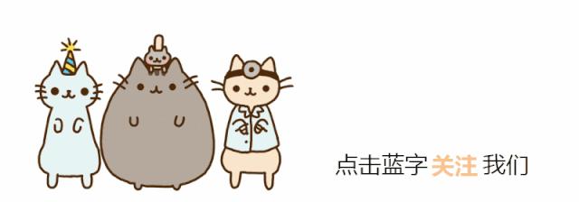 猫咪驯养,驯养猫技巧