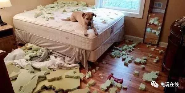 如果你的生命只剩5秒你会做什么,如果只剩下5秒时间你会做什么