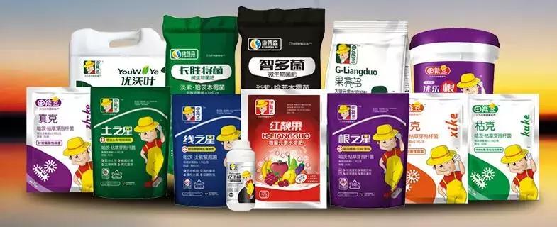 番茄青枯病萎蔫,青枯病和立枯病萎蔫的症状