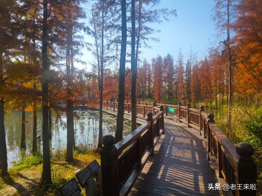 徐州潘安湖旅游攻略,大美潘安湖美景