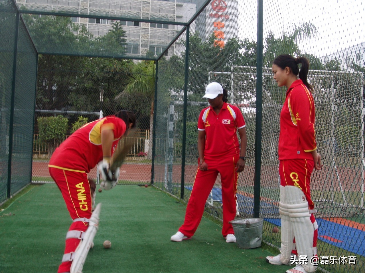 板球守桩员练习视频,板球运动讲解视频