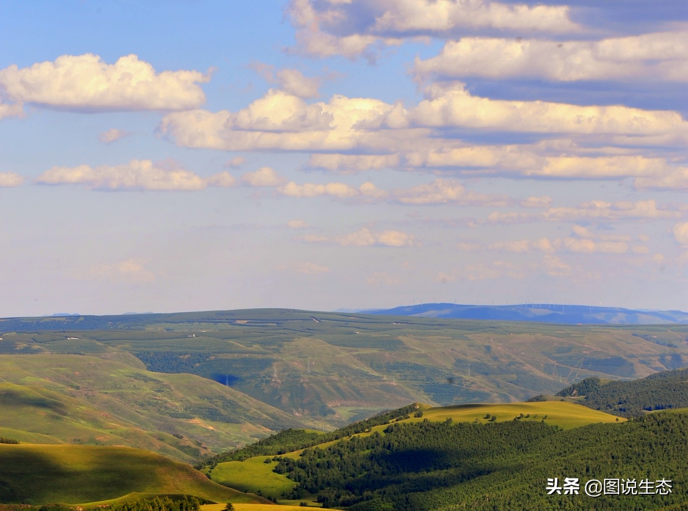 塞罕坝国家森林公园门票价格,塞罕坝2022年收门票吗