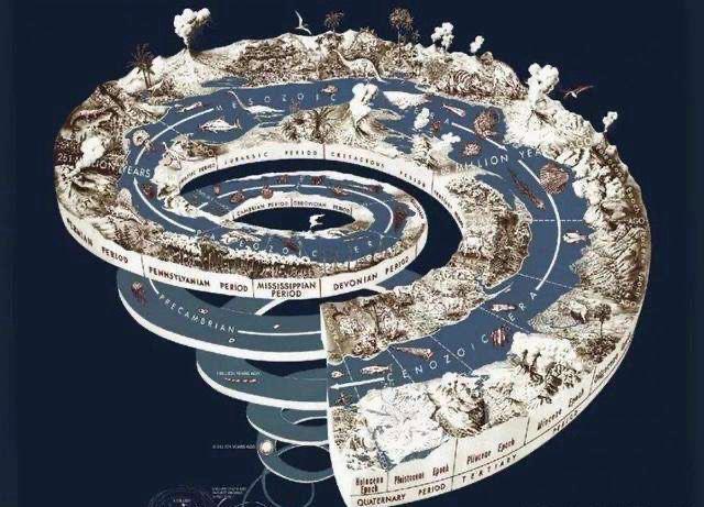 同样的环境下为何有白蚁和黑蚁,阴虱与虱子是同一种虫子吗